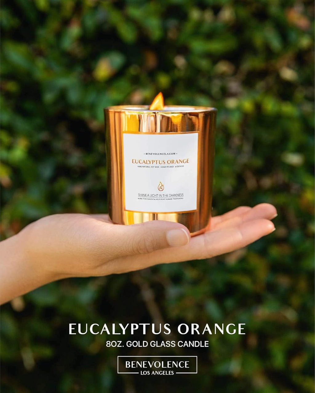 Eucalyptus Orange Wood Wick Candles | Soy Scented Candles for Home | Gifts for Women and Men | Home Fragrance | Aromatherapy | Shelf Decor, Bathroom Freshener | 8Oz, 45 Hour Burn